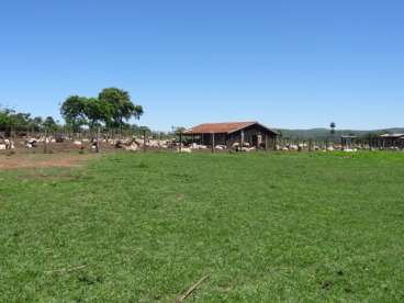 Fazenda de 2400 ha em porto murtinho ms