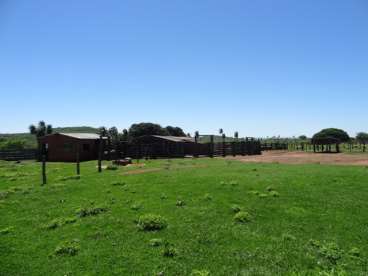 Fazenda de 2400 ha em porto murtinho ms