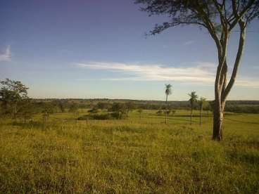 Fazenda dois irmaos do buriti - 1138 ha