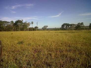 Fazenda dois irmaos do buriti - 1138 ha