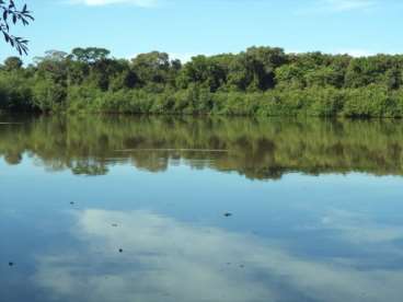 Fazenda dulpla aptidao cocalinho mt 10164 ha