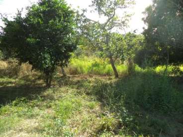 Fazenda dulpla aptidao cocalinho mt 10164 ha