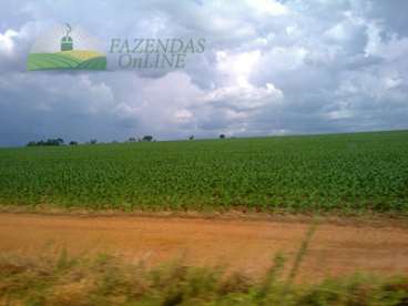 Fazenda dupla aptidao 7260 hectares alto boa vista