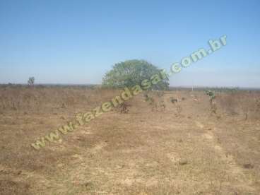 Fazenda em água boa - mt. com 224 ha