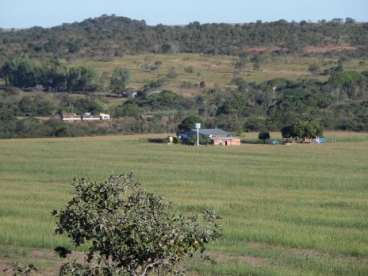 Fazenda em água boa 1.500ha