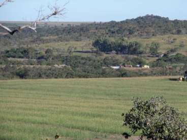 Fazenda em água boa 1.500ha