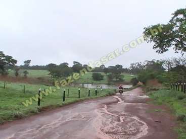 Fazenda em alianca do tocantins. com 1.210 hectare