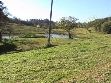 Fazenda em amparo - sp. com 180 alqueires