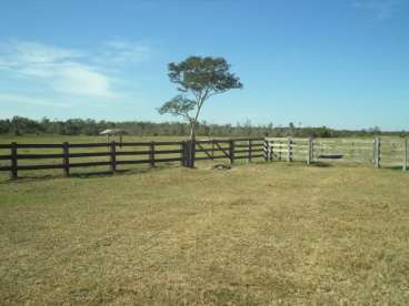 Fazenda em araguaiana 2.352ha