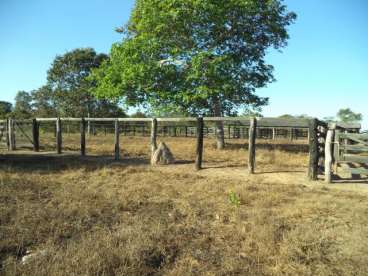 Fazenda em araguaiana 3252 ha