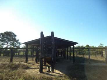 Fazenda em araguaiana 3252 ha