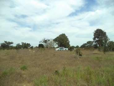 Fazenda em araguaiana 416 ha