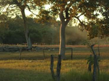 Fazenda em araguaiana mt terra mista, ótima para p