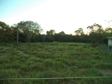 Fazenda em araguaiana mt terra mista, ótima para p