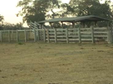 Fazenda em araguaiana mt terra mista, ótima para p