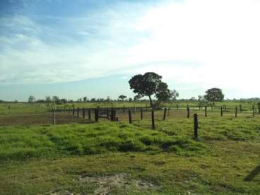 Fazenda em araguaiana ótima p/pecuaria 484 ha