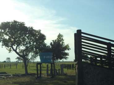 Fazenda em araguaiana ótima p/pecuaria 484 ha