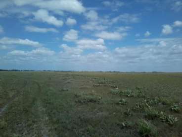 Fazenda em bomfim roraima 881 ha