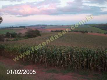 Fazenda em braganca paulista - sp. com 66 alqueire