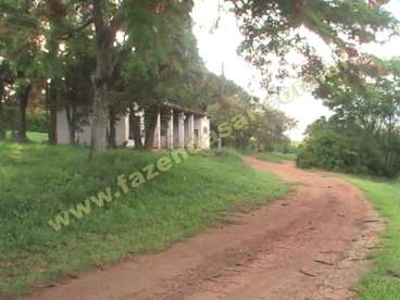 Fazenda em braganca paulista. com 237 hectares.