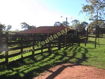 Fazenda em cachoeira alta - go. com 1.210 hectares