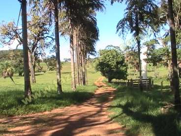 Fazenda em cachoeira alta - go. com 1.210 hectares