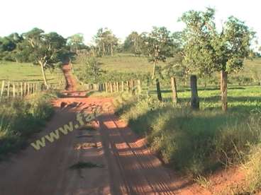 Fazenda em cachoeira alta - go. com 170 hectares