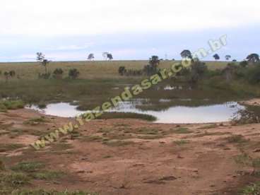 Fazenda em cachoeira alta - go. com 250 hectares