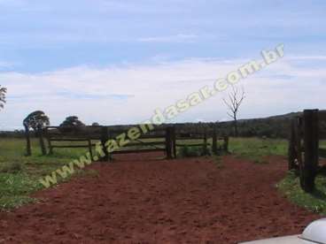 Fazenda em cachoeira alta - go. com 400 hectares