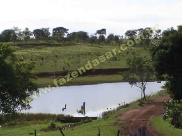 Fazenda em cachoeira alta - go. com 470 hectares