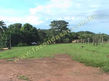 Fazenda em cachoeira alta - go. com 470 hectares
