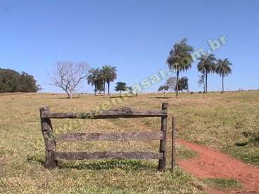 Fazenda em cacu - go. com 346 alqueires paulista