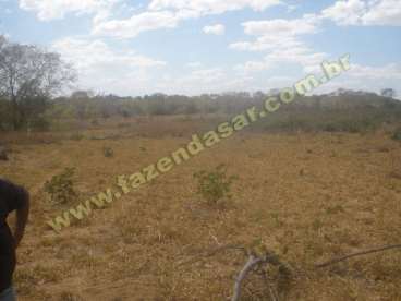 Fazenda em canarana - mt. com 1000 ha