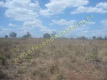 Fazenda em canarana - mt. com 1000 ha