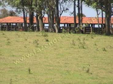 Fazenda em capao bonito - sp. com 495 alqueires