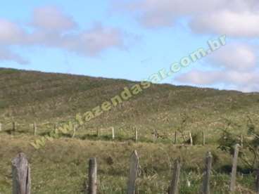 Fazenda em careacu - mg. com 80 alqueires