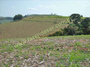 Fazenda em caxambú - mg, 585 hectares