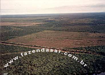 Fazenda em cocalinho - mt, área de 9.150 hectares