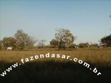 Fazenda em cocalinho - mt, área de 9.150 hectares