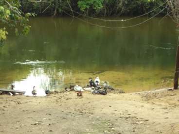 Fazenda em cocalinho mt pecuária 2000 ha