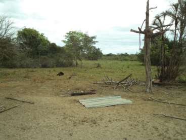 Fazenda em cocalinho mt pecuária 2000 ha