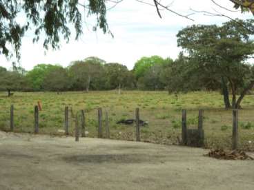 Fazenda em cocalinho mt pecuária 2000 ha