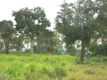 Fazenda em cocalinho mt pecuária 3630 ha