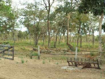 Fazenda em cocalinho mt pecuária 3630 ha