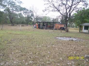 Fazenda em cocalinho terra mista, dulpla aptidao