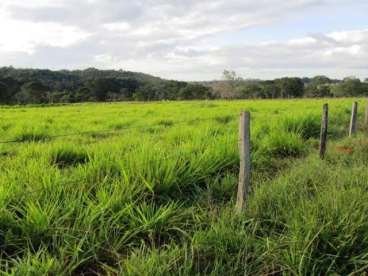 Fazenda em cocalzinho go dupla aptidao 1133 ha