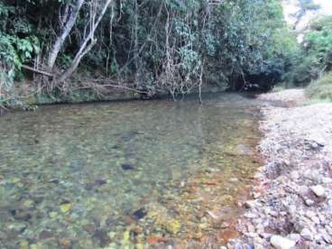 Fazenda em cocalzinho go dupla aptidao 1133 ha