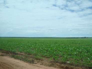 Fazenda em cocos - bahia