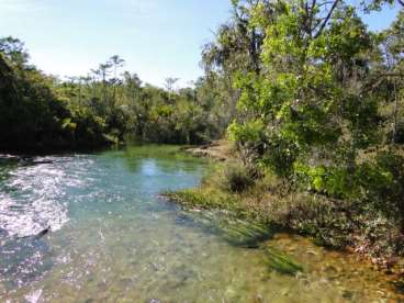 Fazenda em cocos - bahia