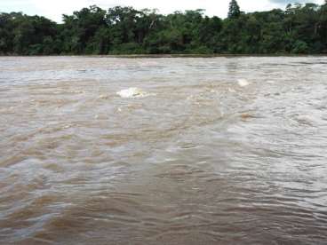 Fazenda em coxim - ms